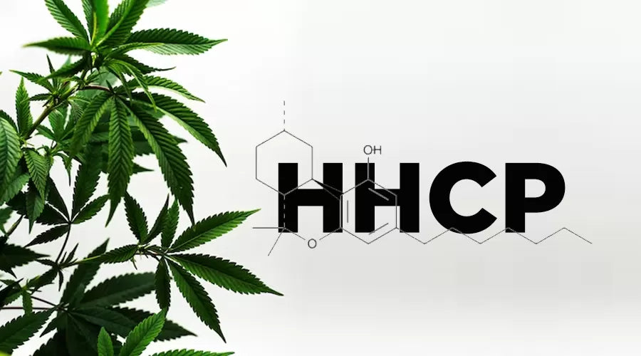 Ποιο είναι πιο ισχυρό; HHC ή HHC-P;